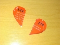 IMAG0488_570x768