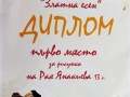 Рая-диплом